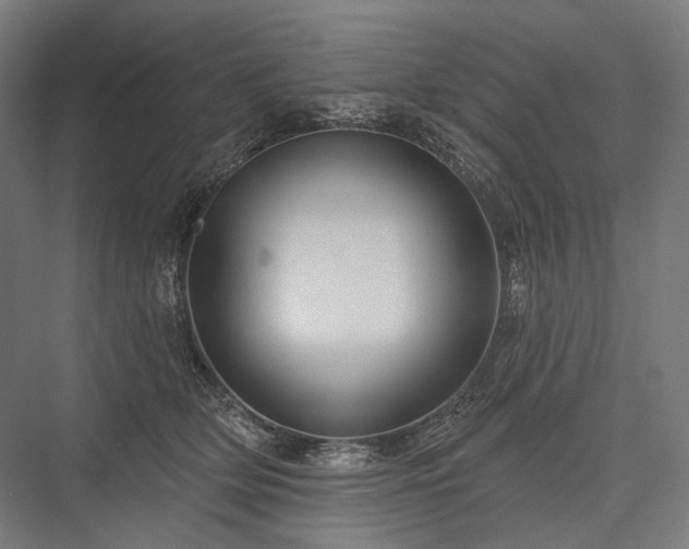 X0000076380514200610061128