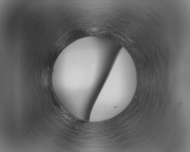 X0000076380515200610061128