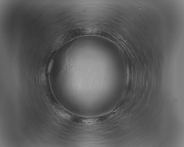 X0000076380516200610061128