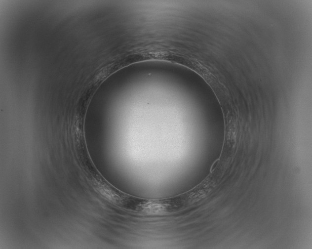 X0000076380518200610061128