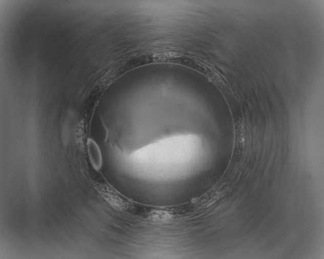 X0000076380519200610061128