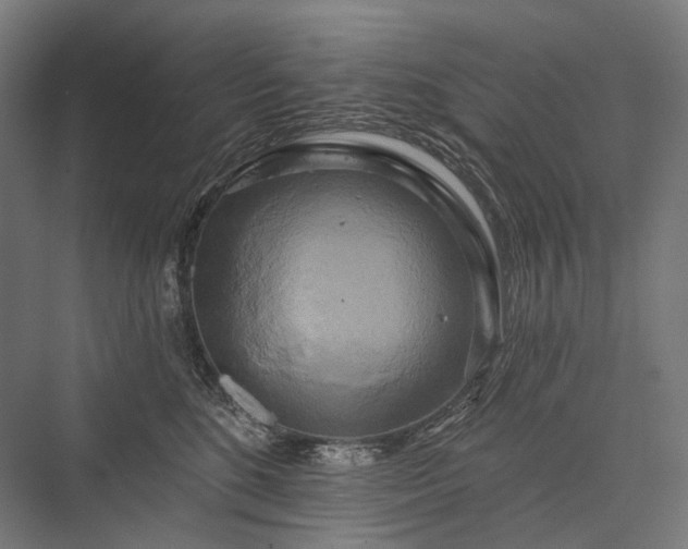 X0000076380520200610061128