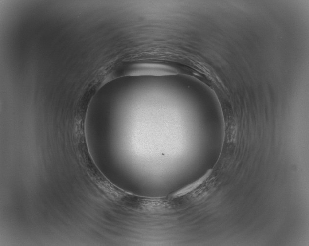 X0000076380521200610061128