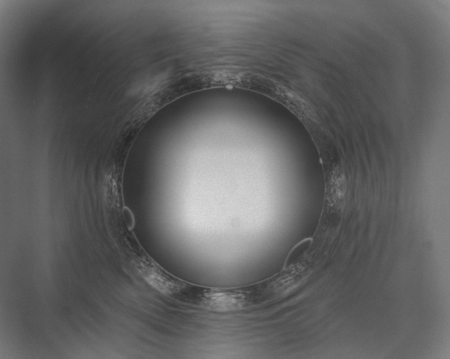 X0000076380522200610061128