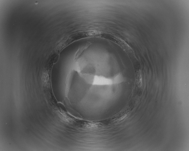 X0000076380523200610061128