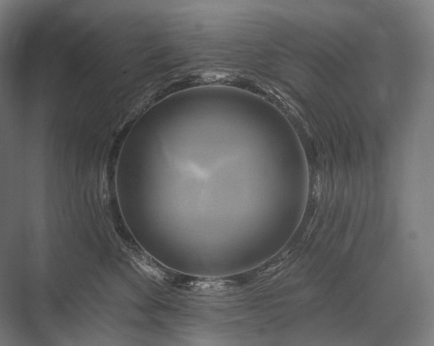 X0000076380524200610061128