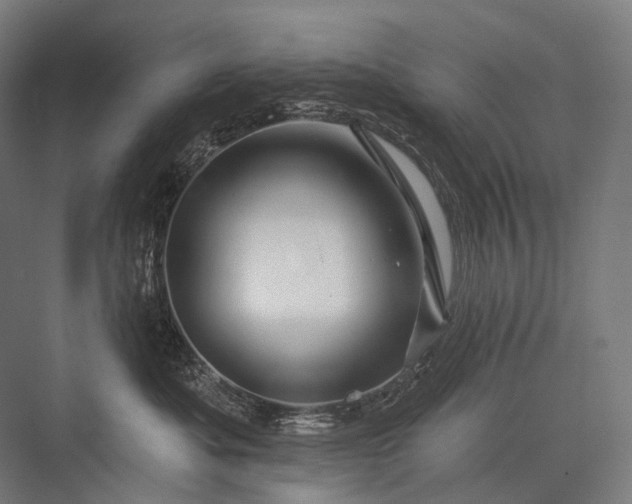 X0000076380525200610061128