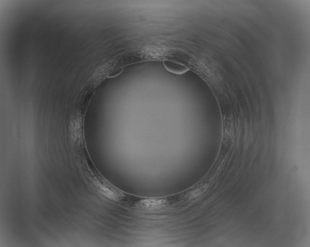 X0000076380526200610061128