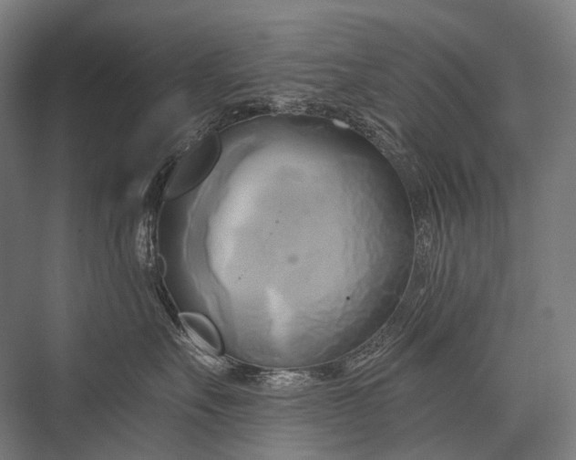 X0000076380527200610061128