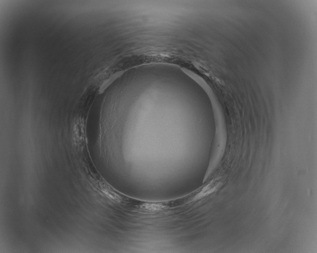 X0000076380528200610061128