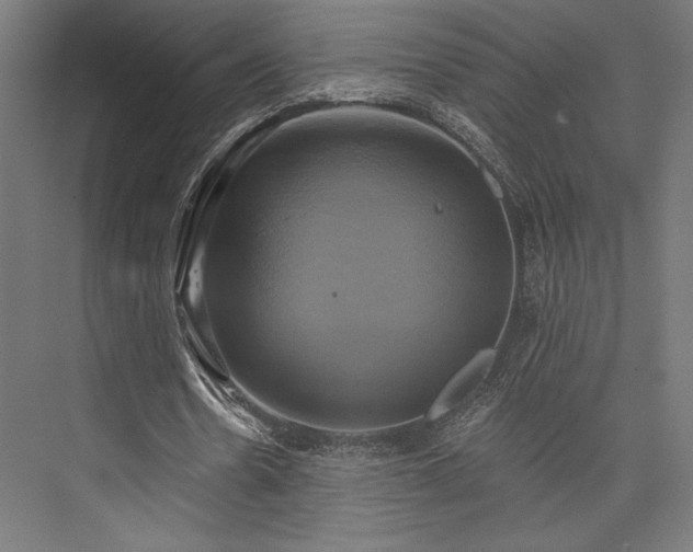 X0000076380530200610061127