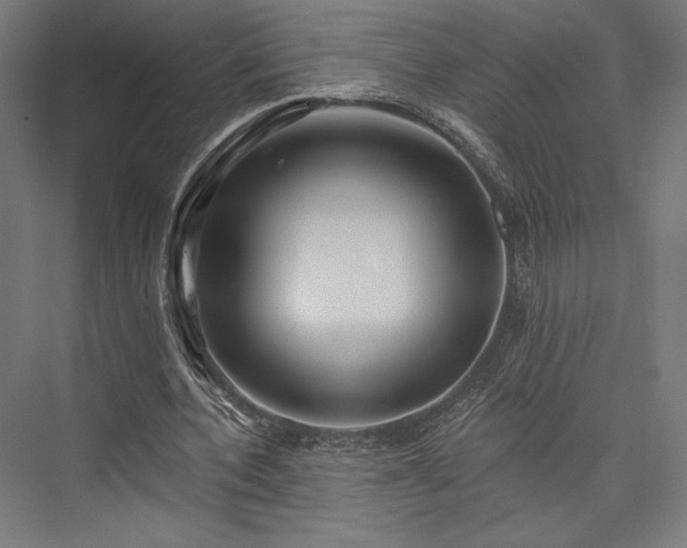 X0000076380532200610061127