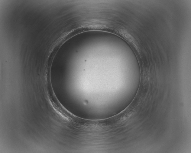 X0000076380533200610061127