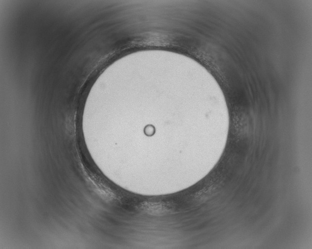 X0000076380534200610061127