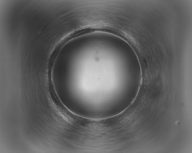 X0000076380535200610061127