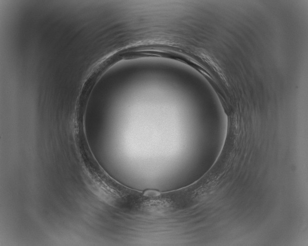 X0000076380536200610061127