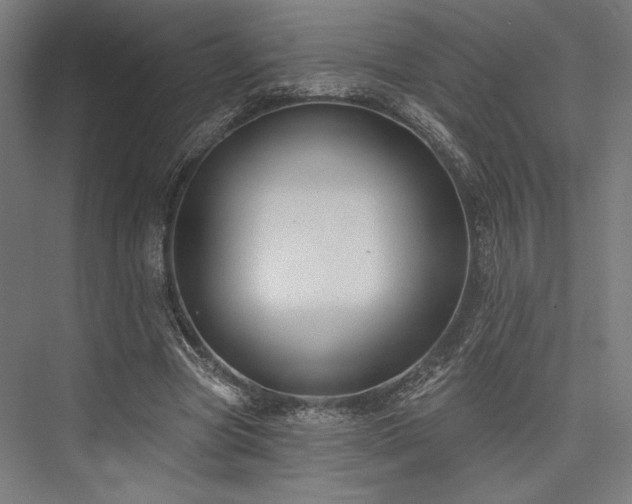 X0000076380537200610061127