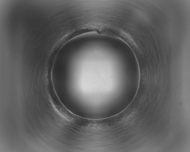 X0000076380538200610061127