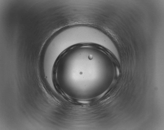 X0000076380540200610061127