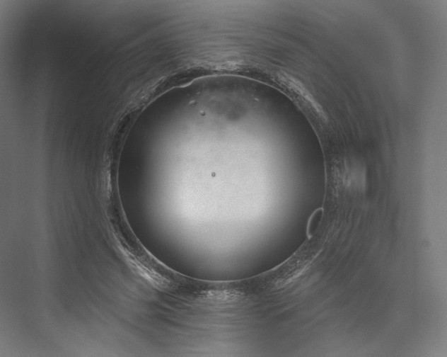 X0000076380541200610061127