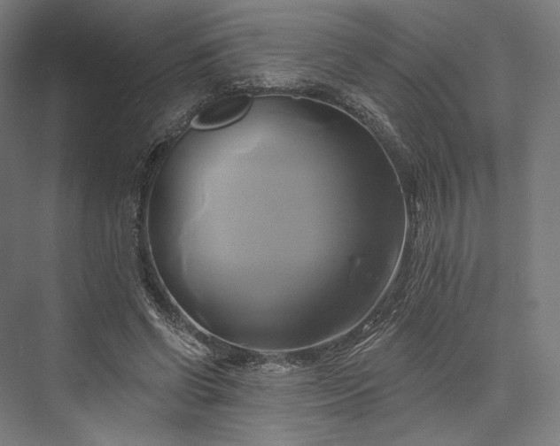 X0000076380542200610061127