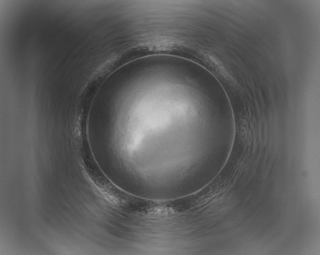 X0000076380543200610061127