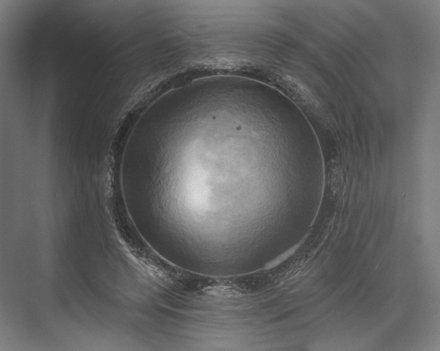 X0000076380544200610061127