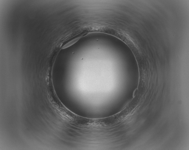 X0000076380545200610061127