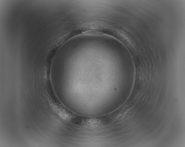 X0000076380546200610061127