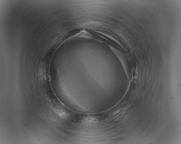 X0000076380547200610061127