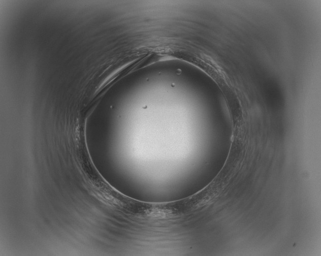 X0000076380549200610061127