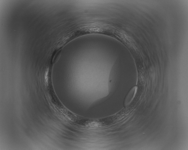 X0000076380551200610061127