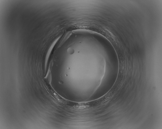 X0000076380553200610061127