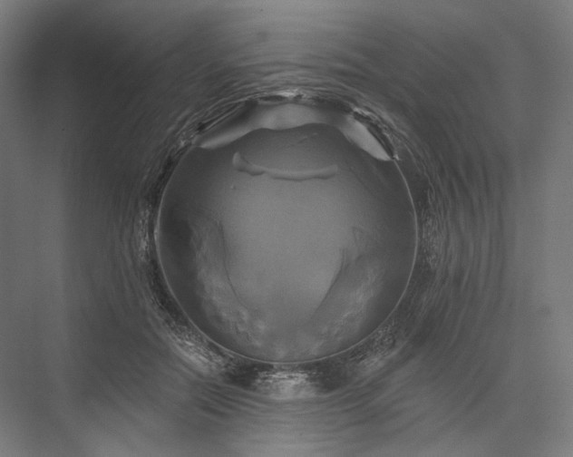 X0000076380554200610061127