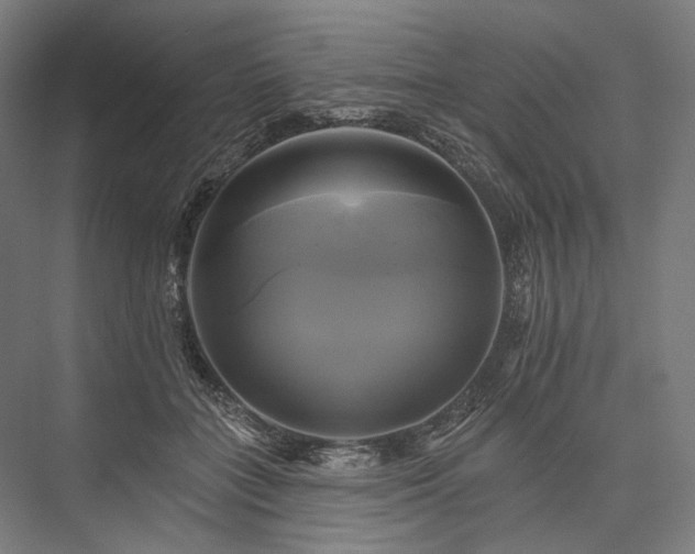 X0000076380555200610061127