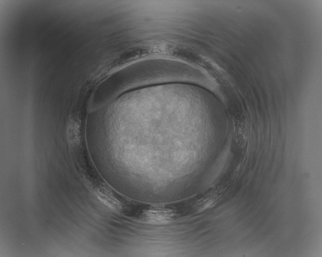 X0000076380556200610061127