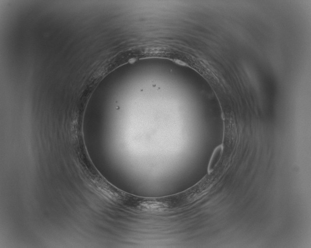 X0000076380557200610061127