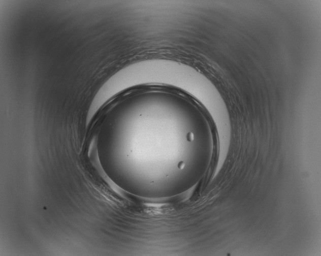 X0000076380558200610061127