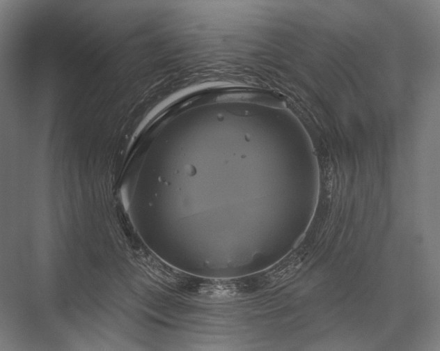 X0000076380559200610061127