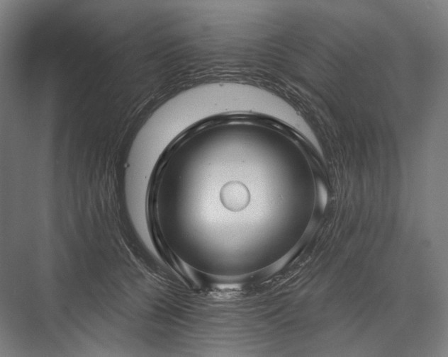 X0000076380560200610061127