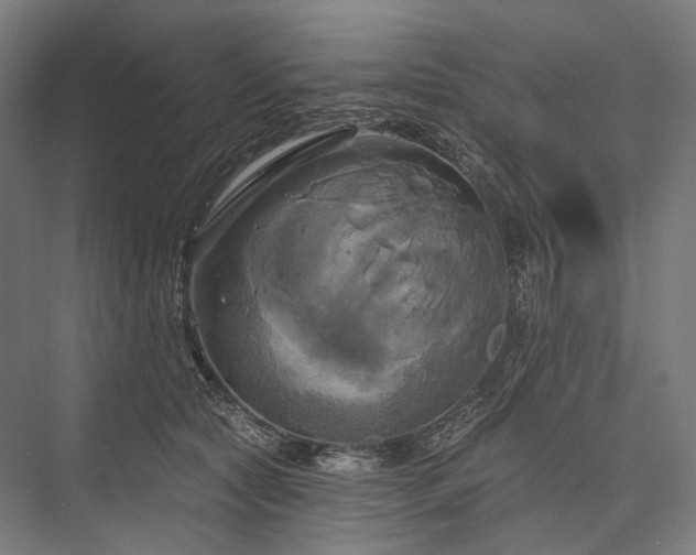 X0000076380561200610061127