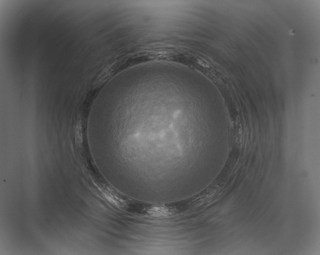 X0000076380562200610061127