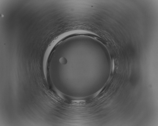 X0000076380563200610061127