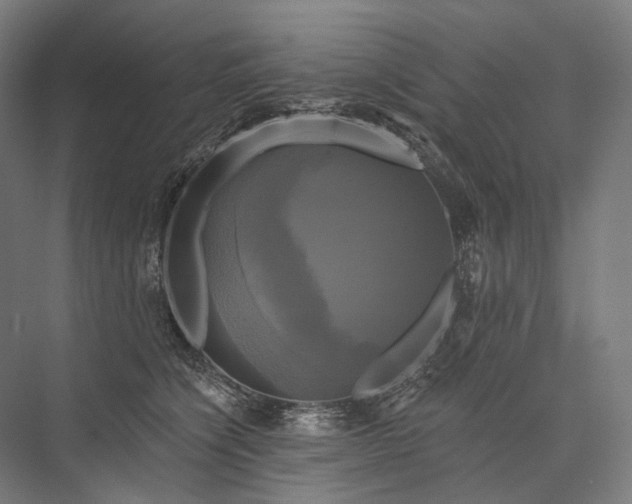 X0000076380564200610061127