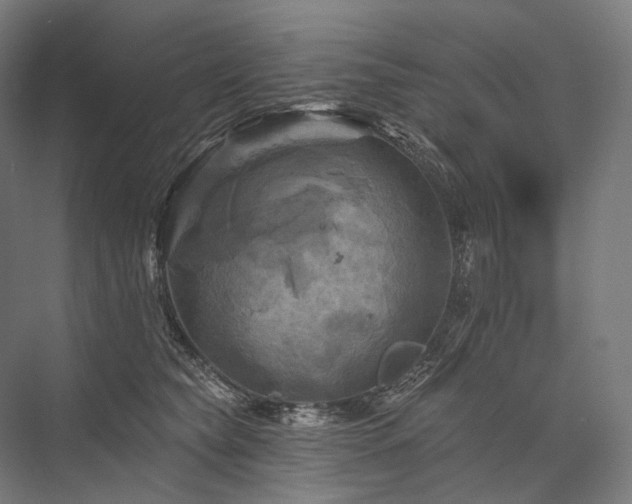 X0000076380565200610061127