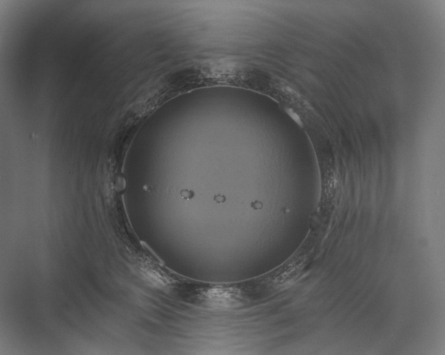 X0000076380566200610061127