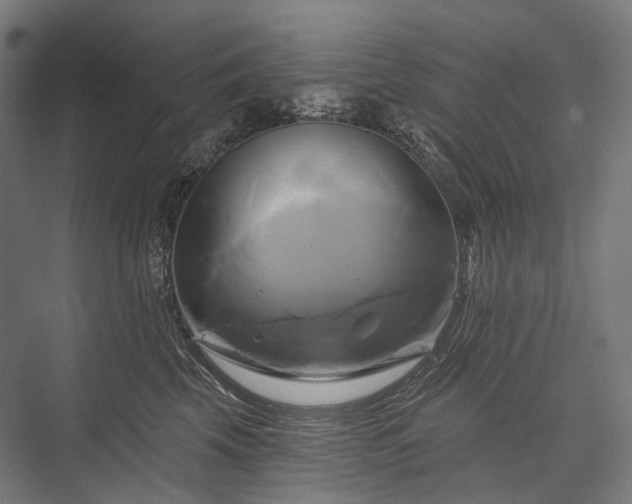 X0000076380569200610061127