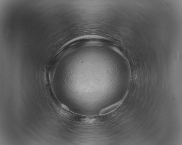 X0000076380570200610061127