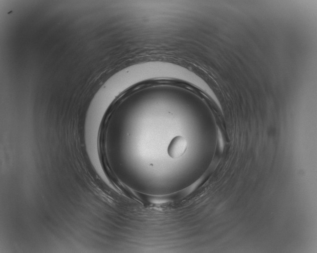 X0000076380572200610061128