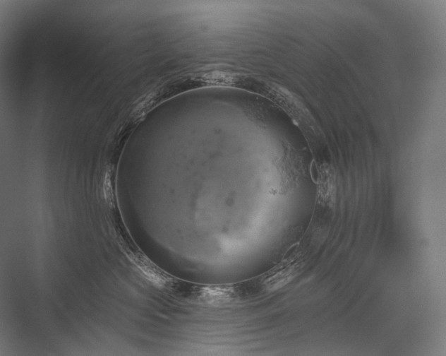 X0000076380573200610061128